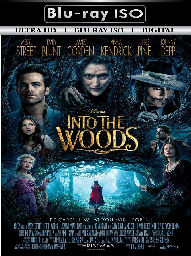 Into The Woods