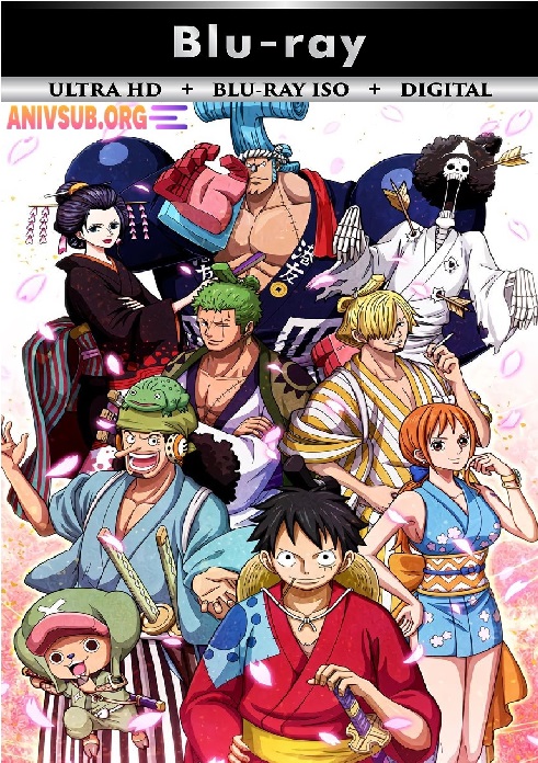 One Piece 16