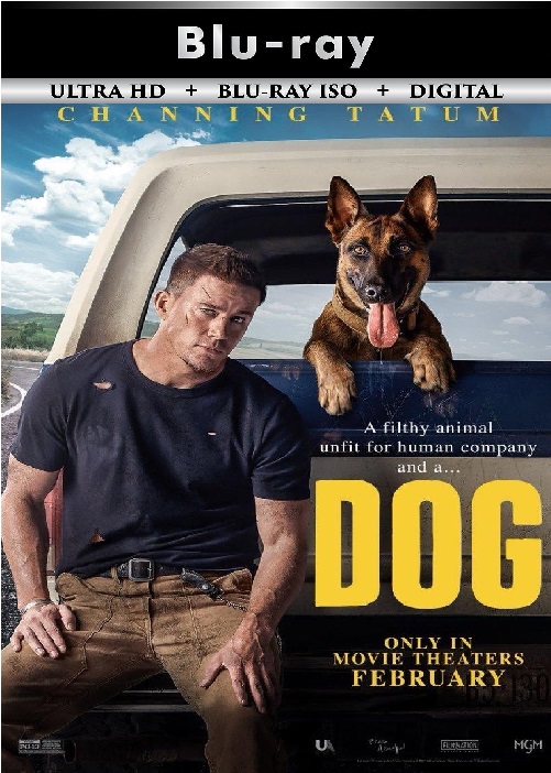 Dog