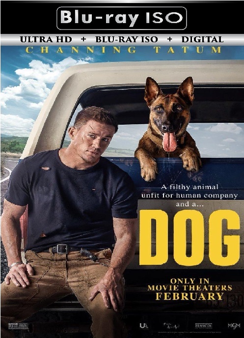 Dog