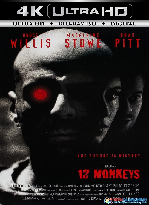 12 Monkeys