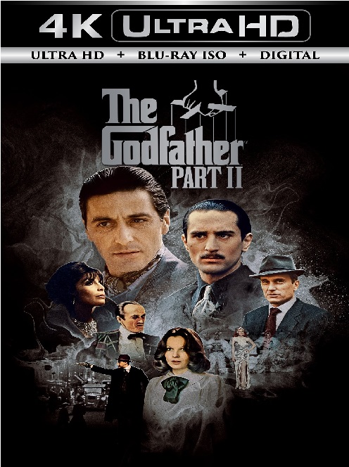 The Godfather 2
