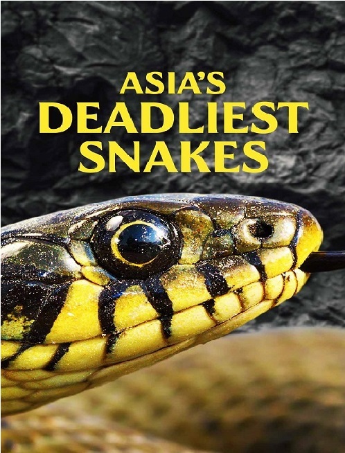 Asias Deadliest Snakes