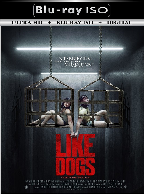 Like Dogs