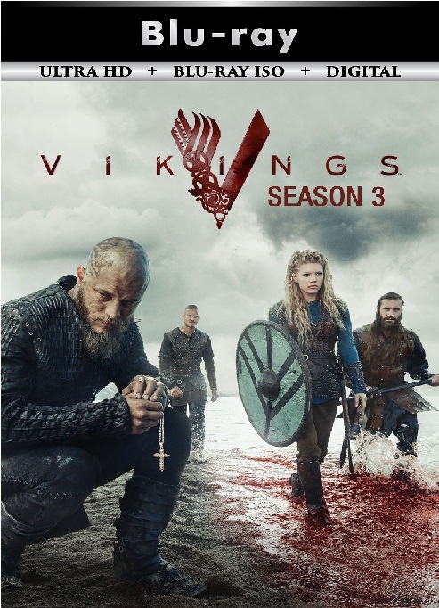 Vikings 3