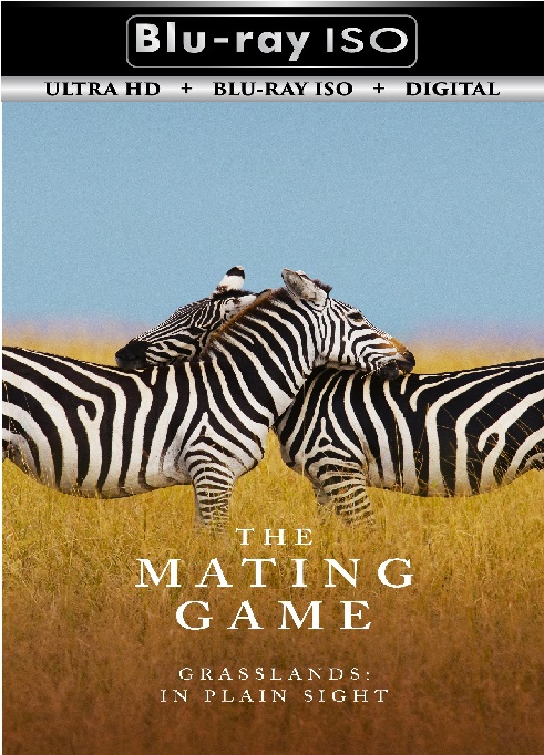 The Mating Game