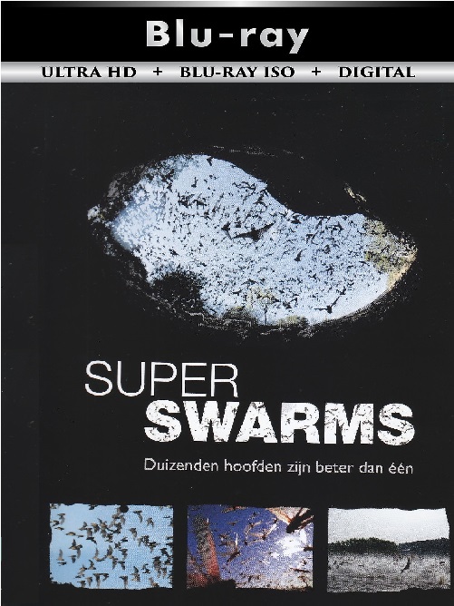 Swarm Nature