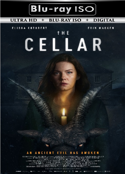 The Cellar