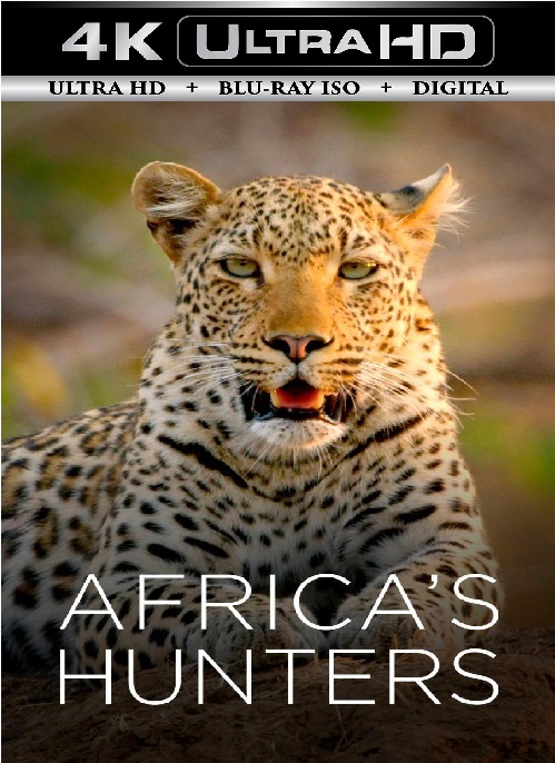 Africa