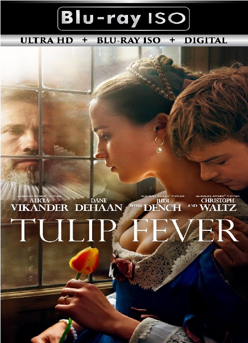 Tulip Fever