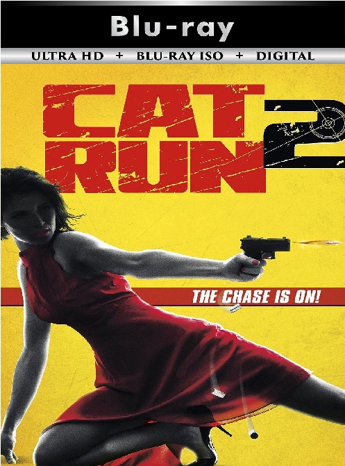 Cat Run 2