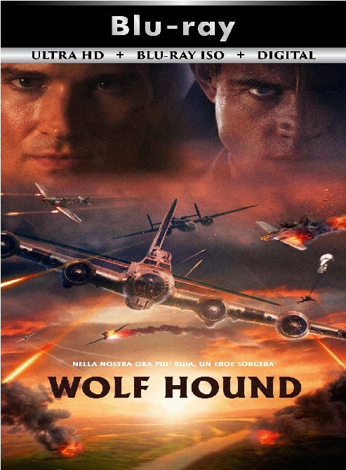 Wolf Hound