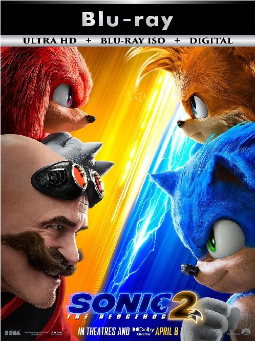 Sonic The Hedgehog 2