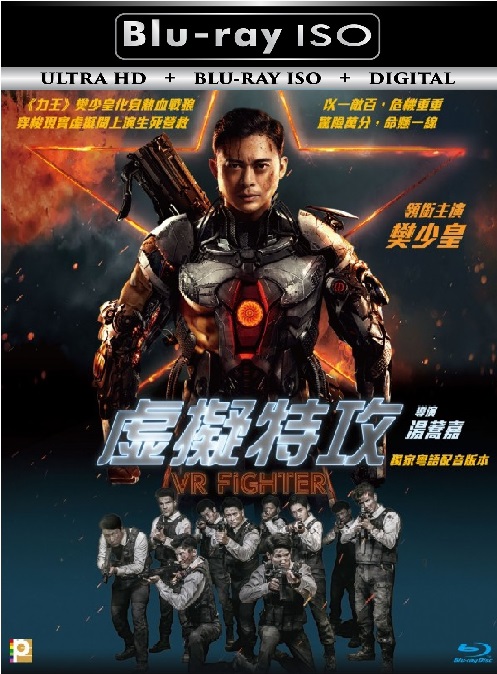 VR Fighter