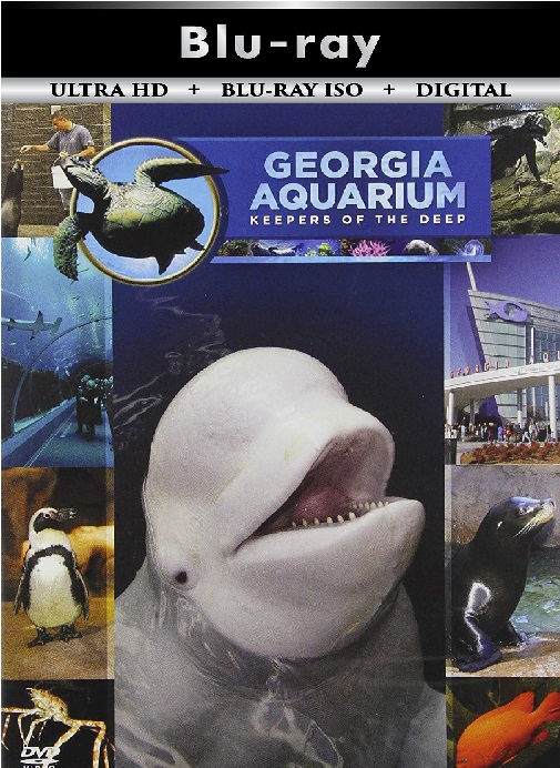 Atlanta Georgia Aquarium