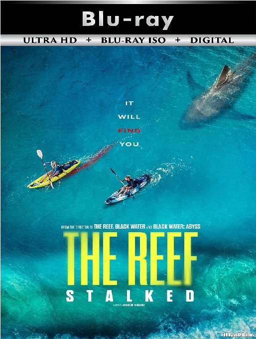 The Reef