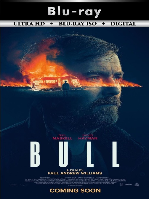 Bull