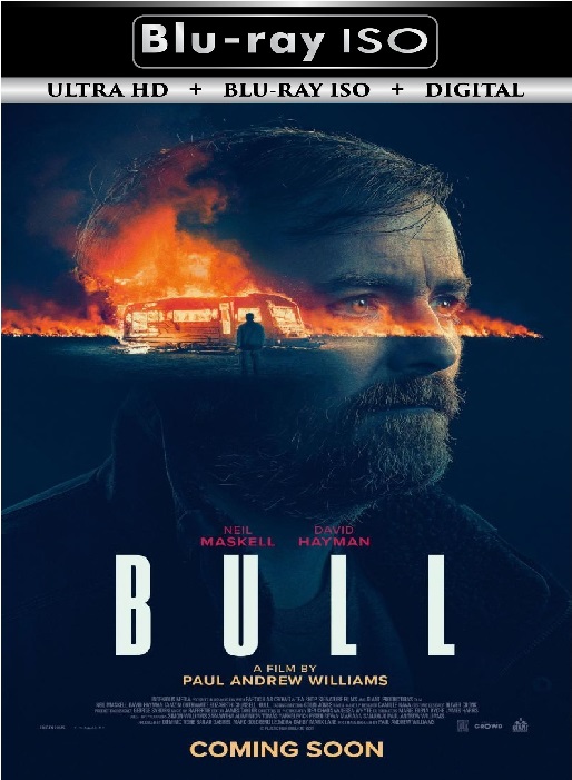Bull
