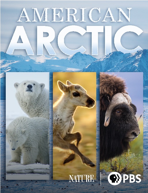 American Arctic