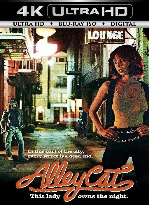 Alley Cat