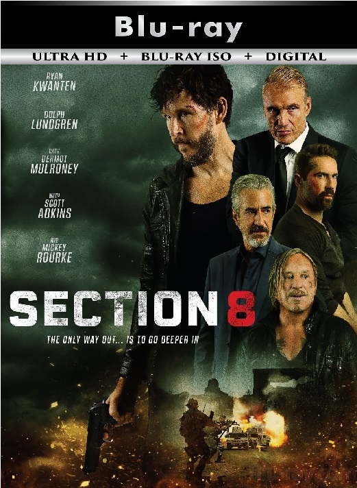 Section 8