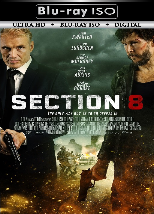 Section 8