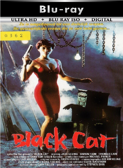 Black Cat