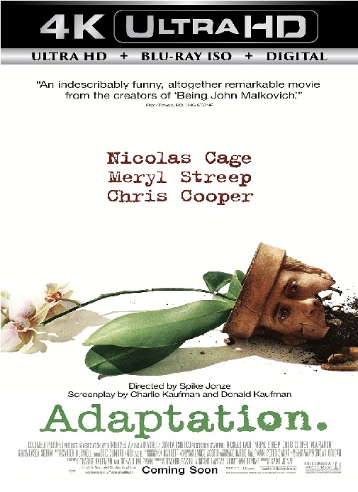 Adaptation
