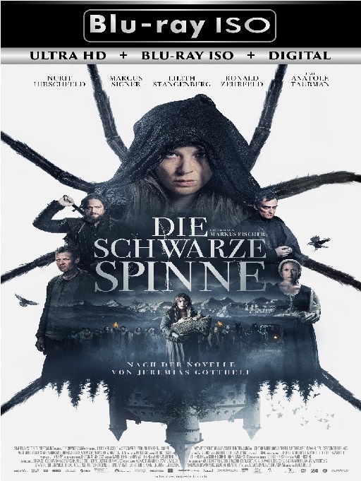 The Black Spider