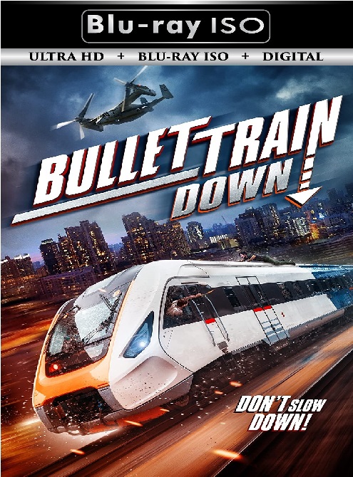 Bullet Train Down