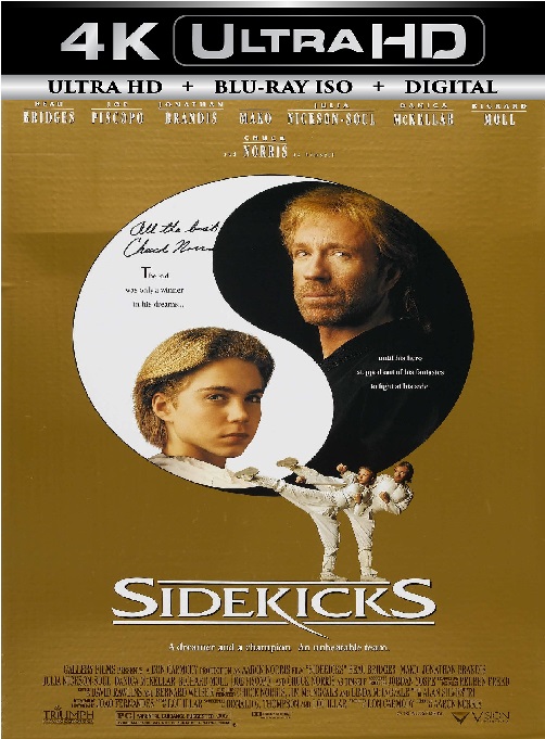 Sidekicks
