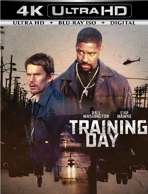 Training Day