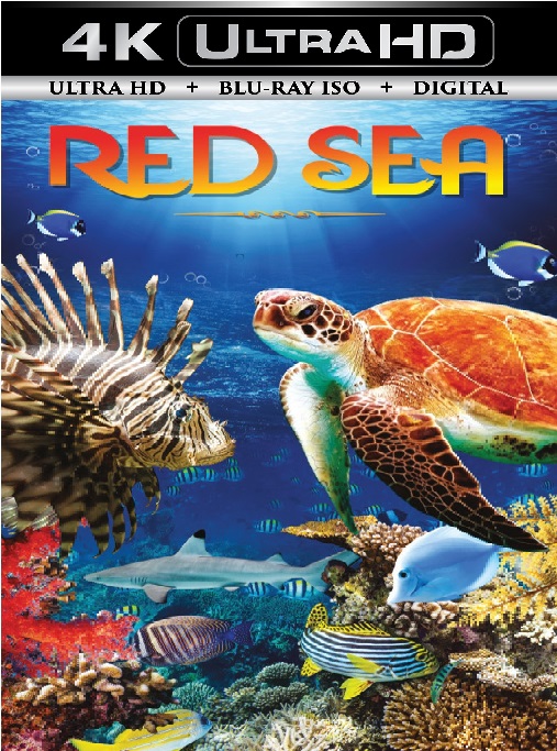 Red Sea