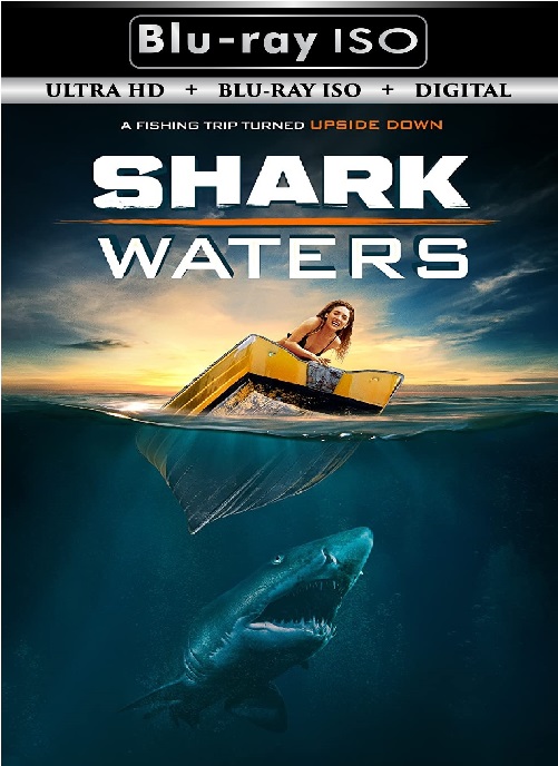 Shark Waters