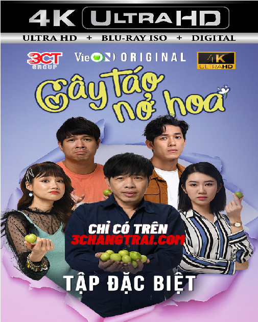 Cây Táo Nở Hoa