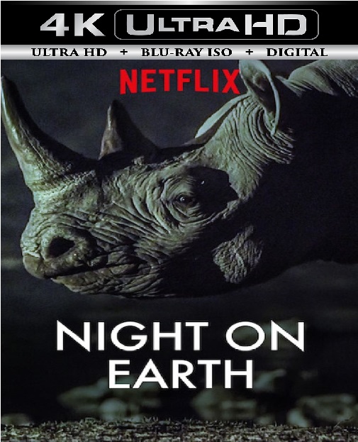 Night on Earth