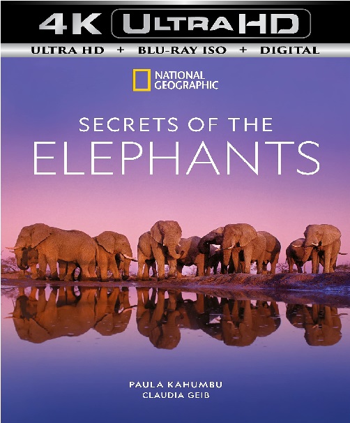 Secrets of the Elephants