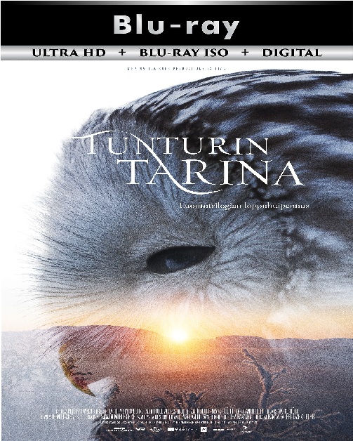 Tale of a Lake