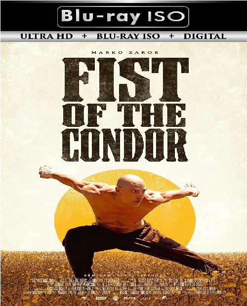 The Fist of the Condor