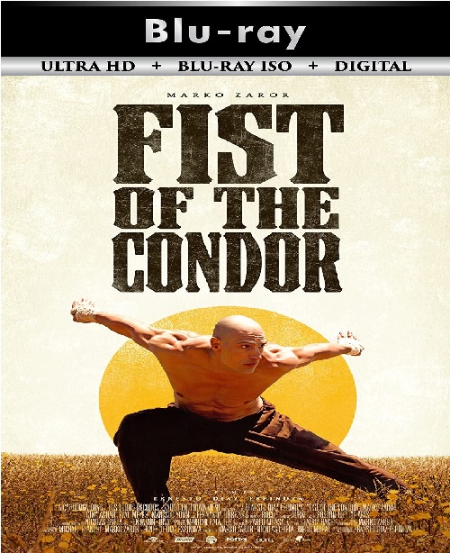 The Fist of the Condor