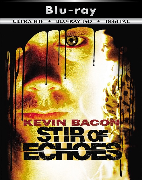 Stir of Echoes