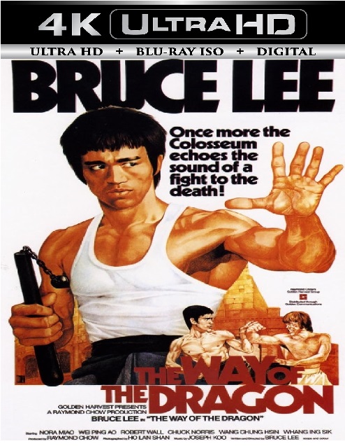 Way Of The Dragon
