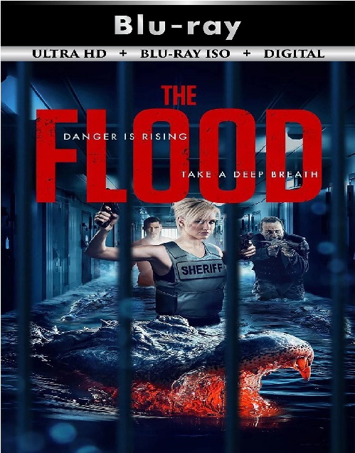 The Flood