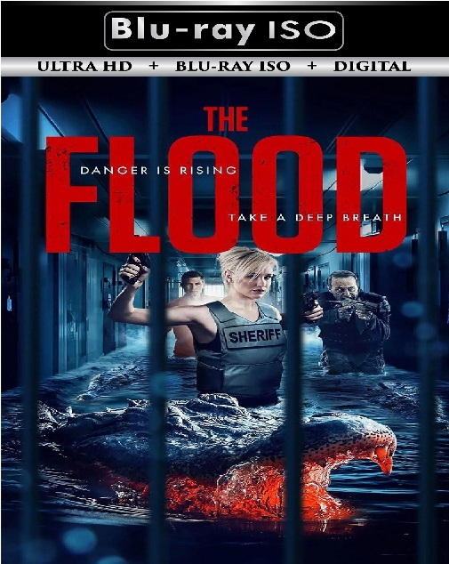 The Flood