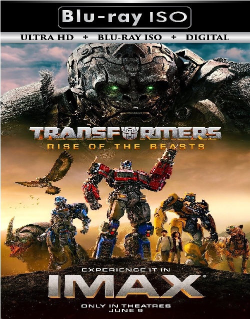Transformers 6