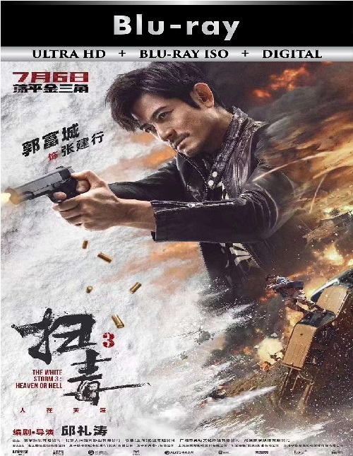 The White Storm 3