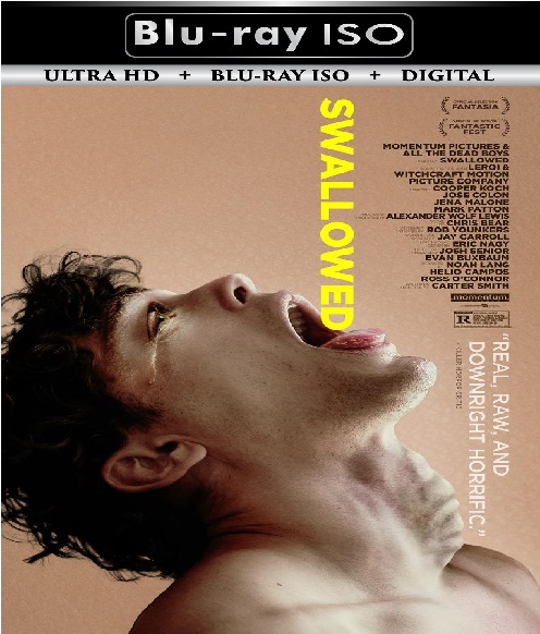 Swallowed