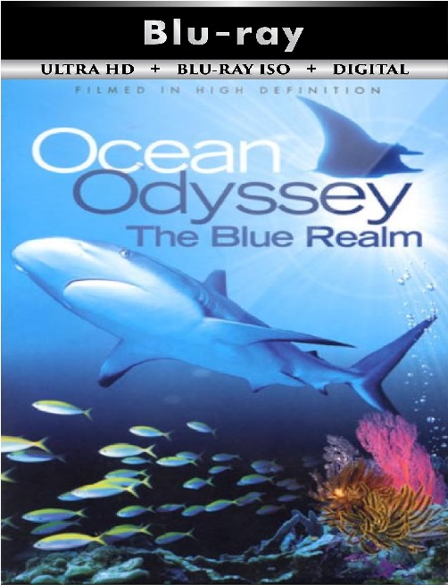 Ocean Odyssey