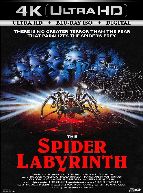 The Spider Labyrinth