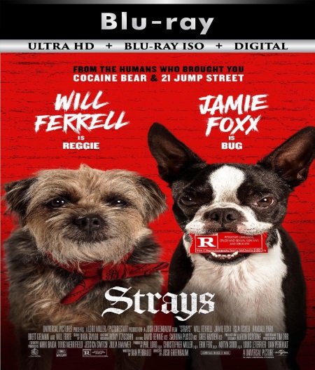 Strays